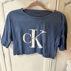 Calvin Klein Jeans Heather Blue Top